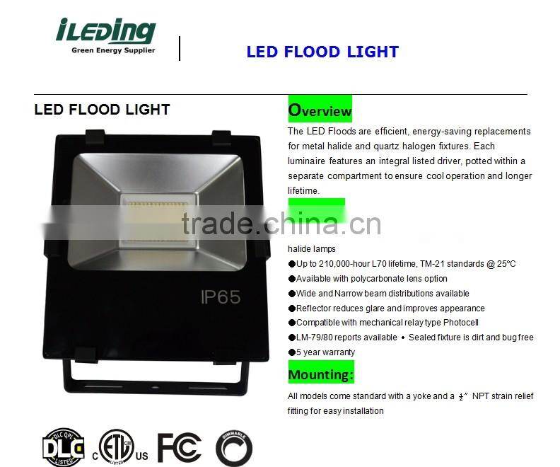 High efficiency,energy-saving LED flood light
