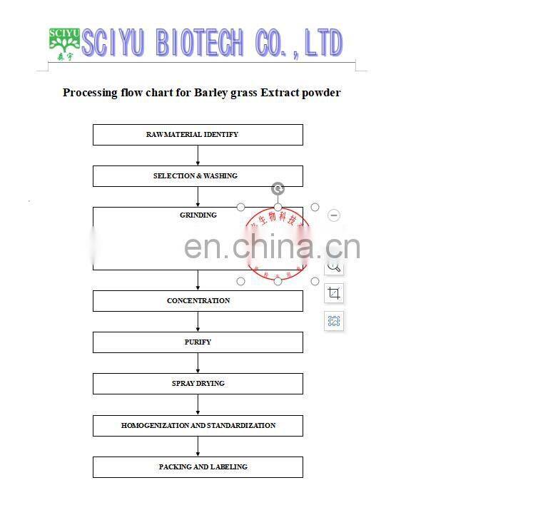 Factory Supplier 5:1 10:1 20:1 barley grass extract powder