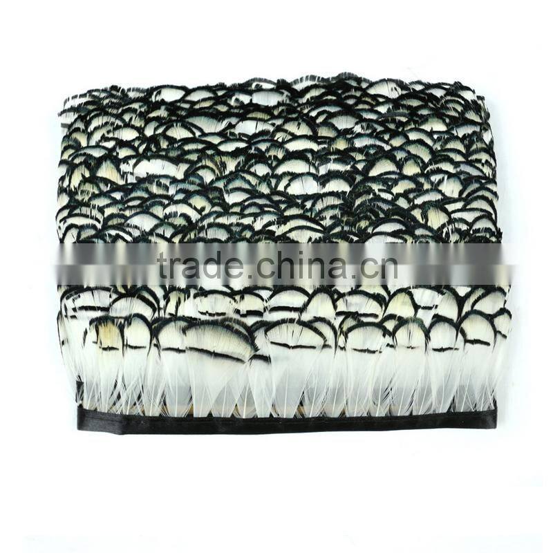 wholesale white trimmed feathers lady amherst pheasant feathers for sale