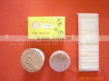 high quality plastic toothpick in a plastic box with FDA certificate