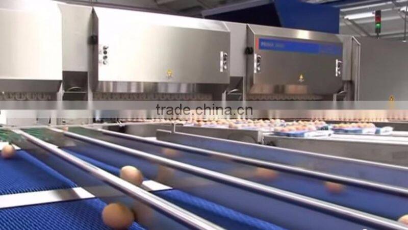 FARM FRESH CHICKEN TABLE EGGS, BROWN SHELL CHICKEN EGGS,WHITE SHELL CHICKEN EGGS