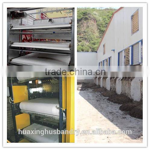 Huaxing automatic feeder for hens/broiler chicken feeding/broiler chicken coop