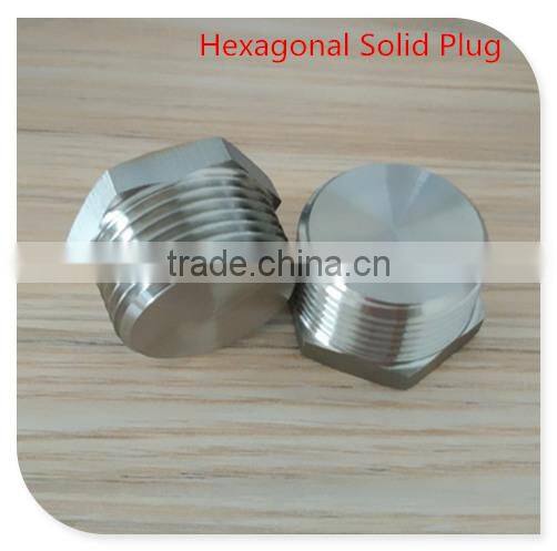 304/316 Stainless Steel Threaded Plug Fitting,Hex Solid Plug Male Thread