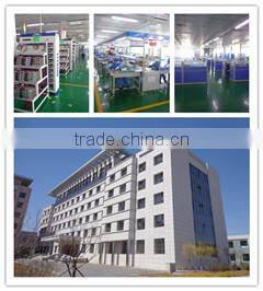 Liyuan supply 48V 60Ah l48v 60Ah LiFePO4 Battery Pack for automotive car, Motorcycles, electric scooter