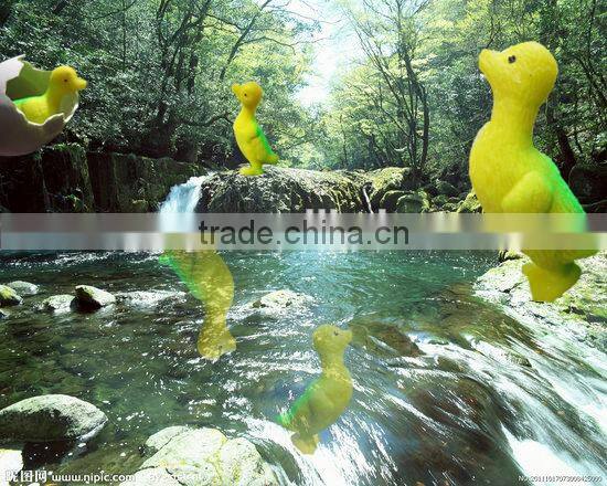 2015 novelty growing easter fowl hen grow in water
