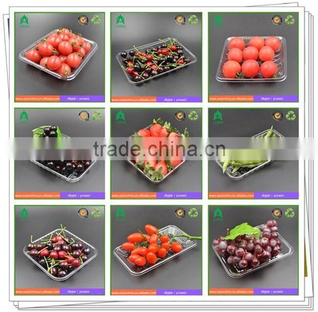 Transparent PS PP PET disposable plastic vegetable tray tomato tray