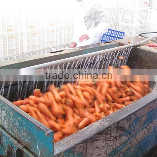 Frozen Vegetables Iqf Carrot Diced/sliced/ Strips