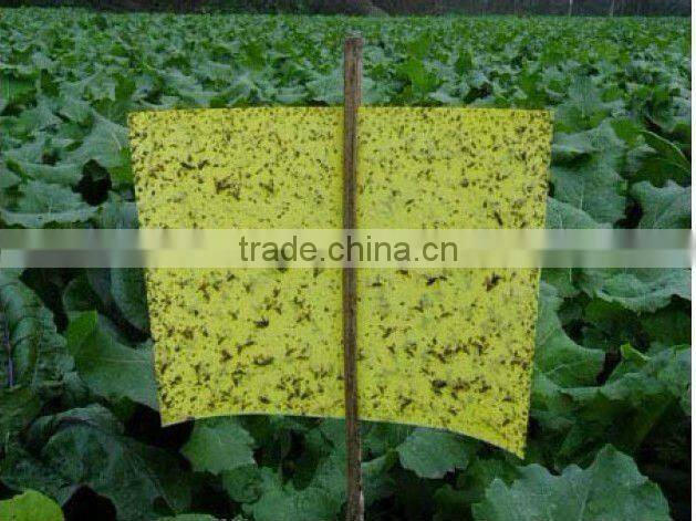Hot Sale strong adhesive fly trap,yellow board insect killer,fly ribbon ,fly catcher
