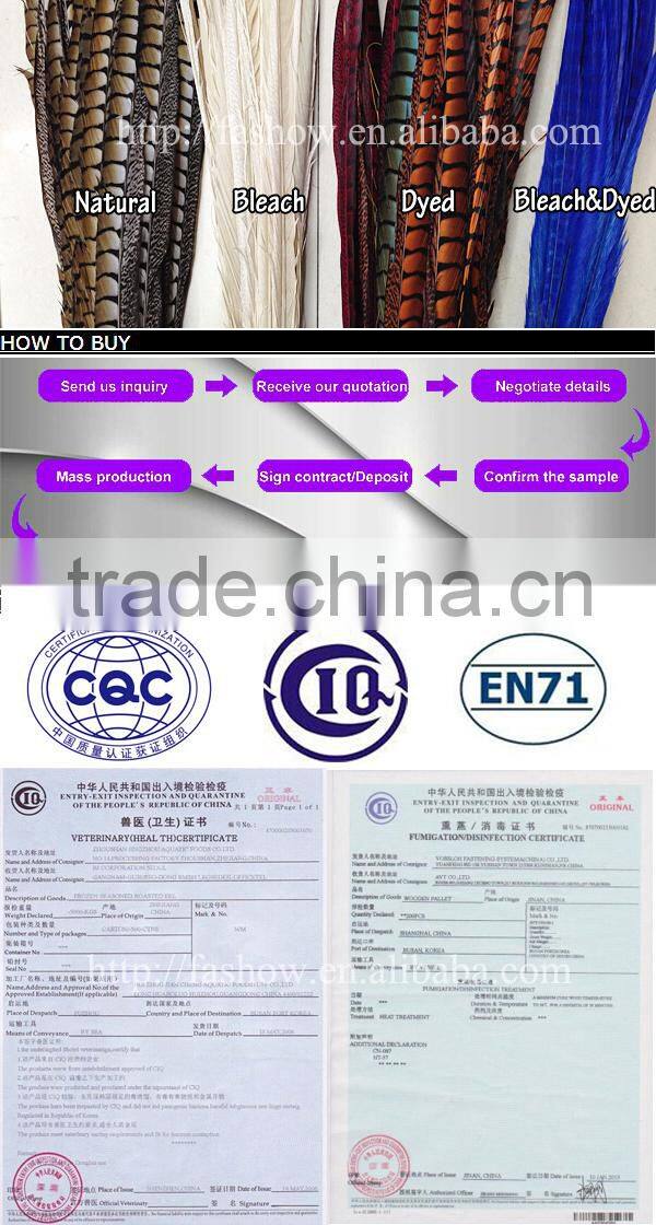 Indian Dance Feather Costume Top Quality Feather Costume