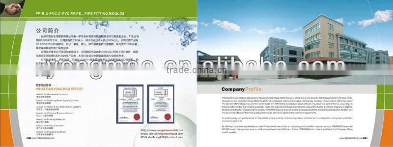 PVC 15 Degree Belling Elbow Mould