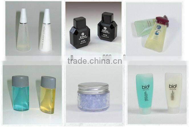 Holiday Inn Hotel Amenity