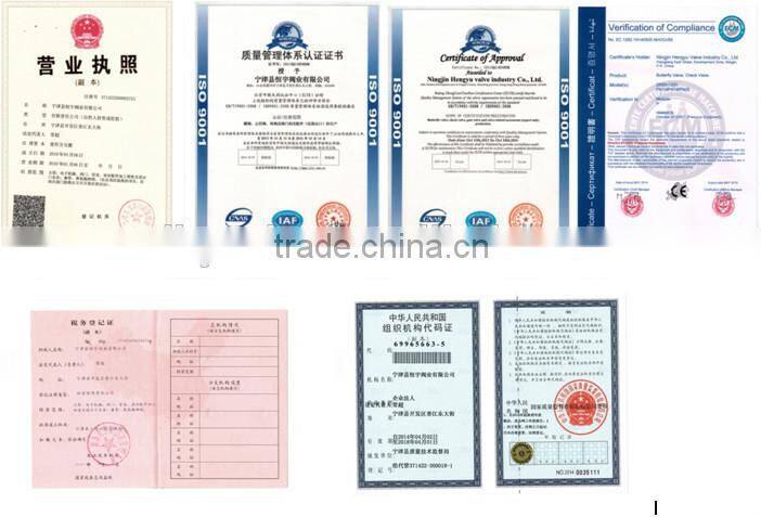 size DN50-DN350 PN25/PN40/CLASS 250 Double Disc. Wafer Check Valve