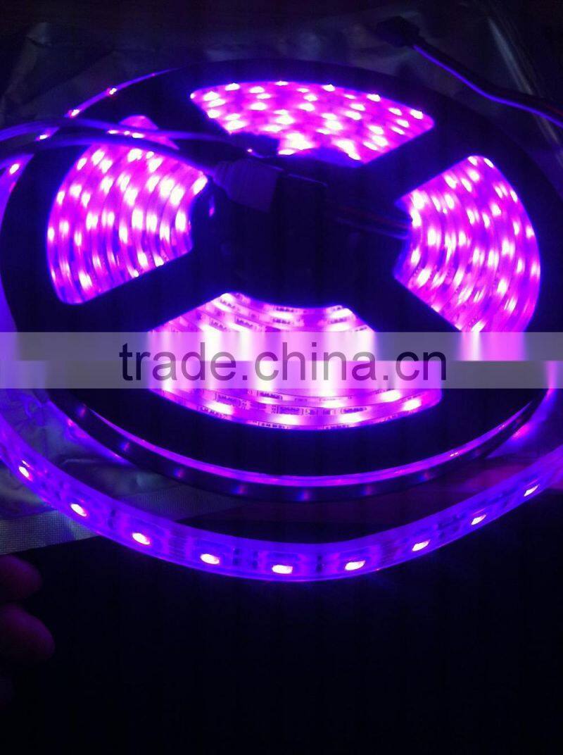 Full Color LED Strip-WS2801 Series