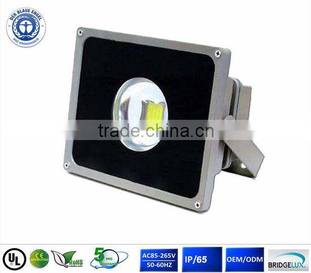 Energy Saving 100w 50w led outdoor flood light
