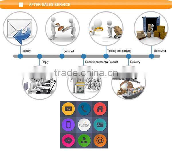 Outdoor and indoor LPG patio gas heater