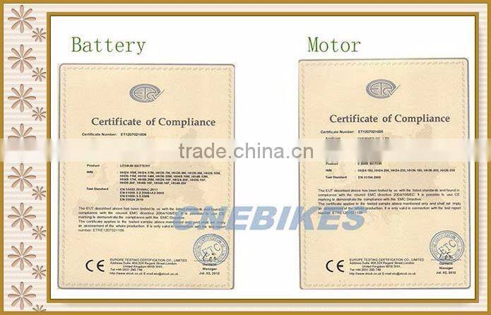 electric mountain bicycle kits small hub brushless motor e bike kits