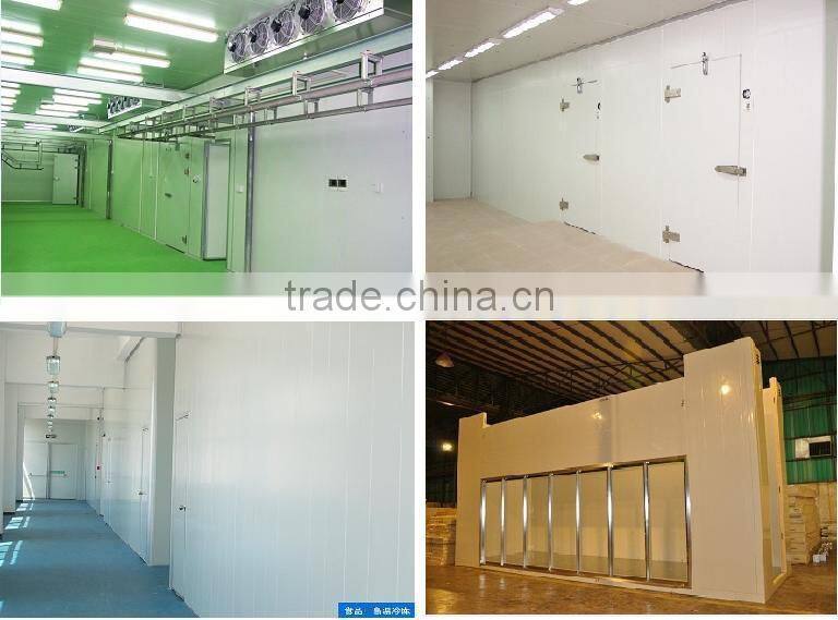 Freezing chamber for frozen meat storage