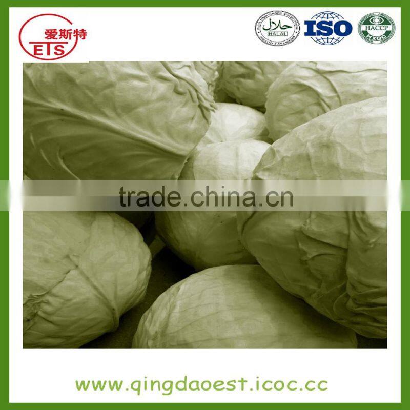 Chinese hot sale fresh cabbage with high quality