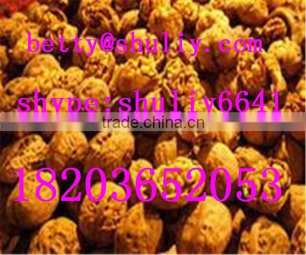 Newest design cocoa beans hydraulic oil expeller/walnut oil expeller/sesame oil expeller//0086-18203652053