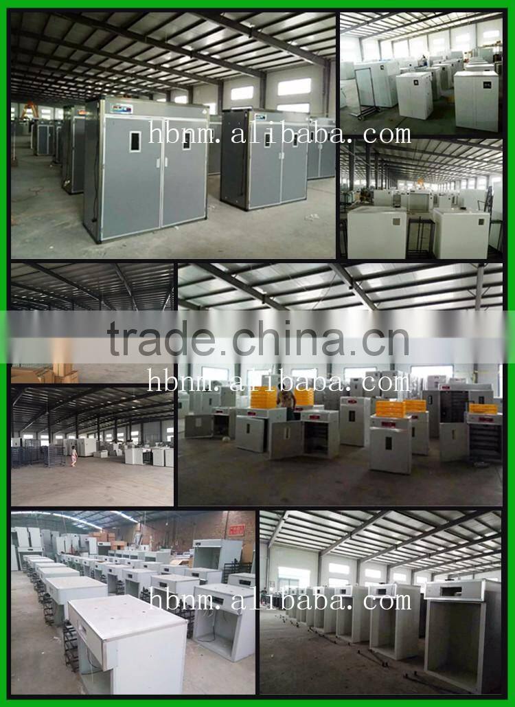 2016 amazing factory price 6336 automatic eggs incubator and hatcher for chicken