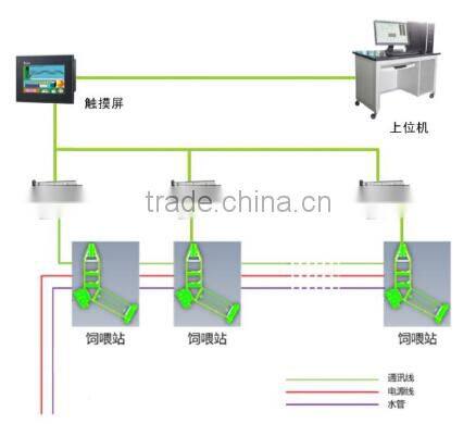 Automatic Feeding System