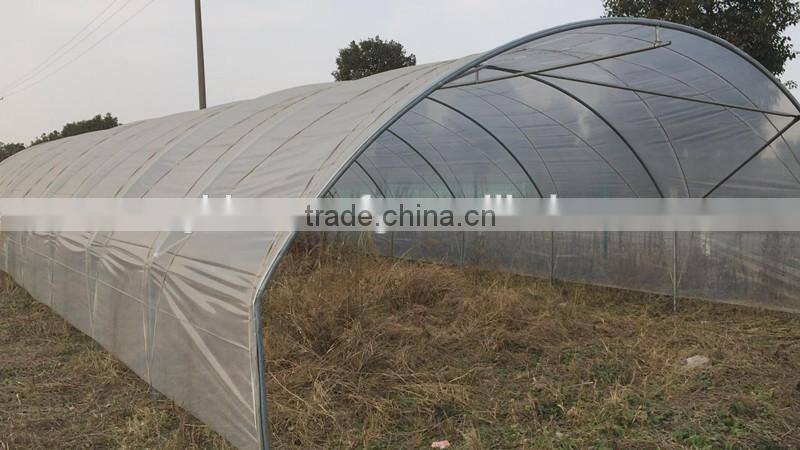 Tunnel-600 agricultural economical greenhouse