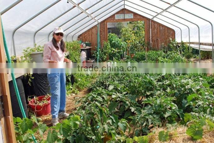 Fiberglass hobby greenhouse, garden greenhouse