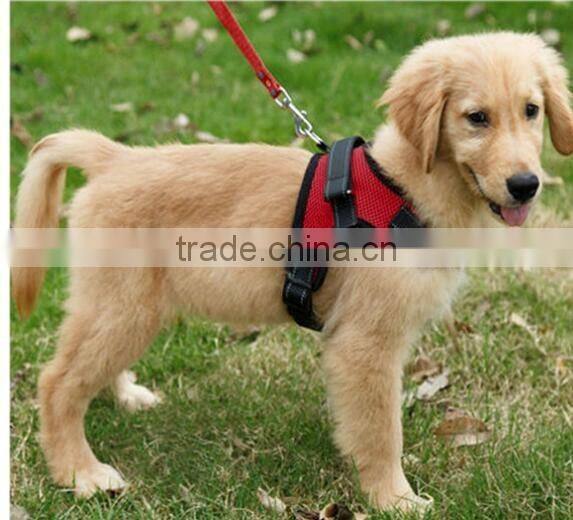 CY113 New adjustable pet harness vest Comfortable dog training harness