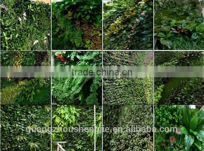 Q113001 wedding decoration green wall China manufacturer artificial flower wall