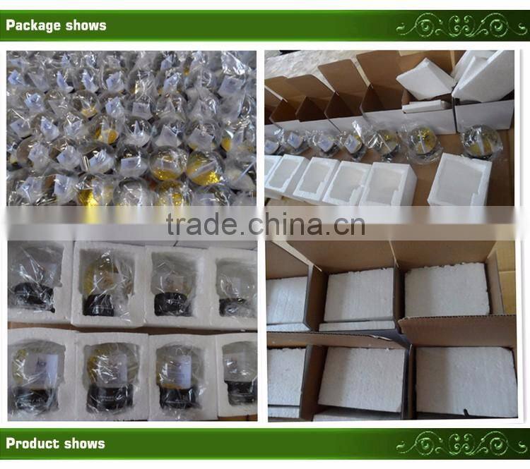 Custom made small Decorative figures green Frog Water snow globe ball