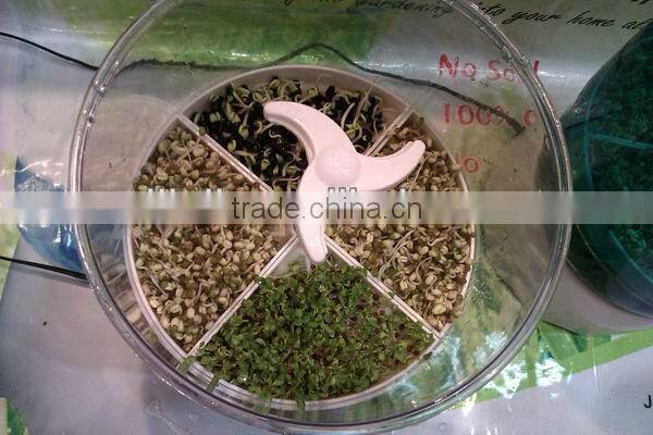 Automatic Bean Sprout Growing Machine, Model JL260A, CE certificate