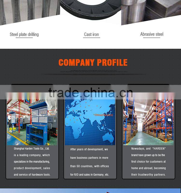 Professional 20PCS Alloy Steel Tap And Die Set