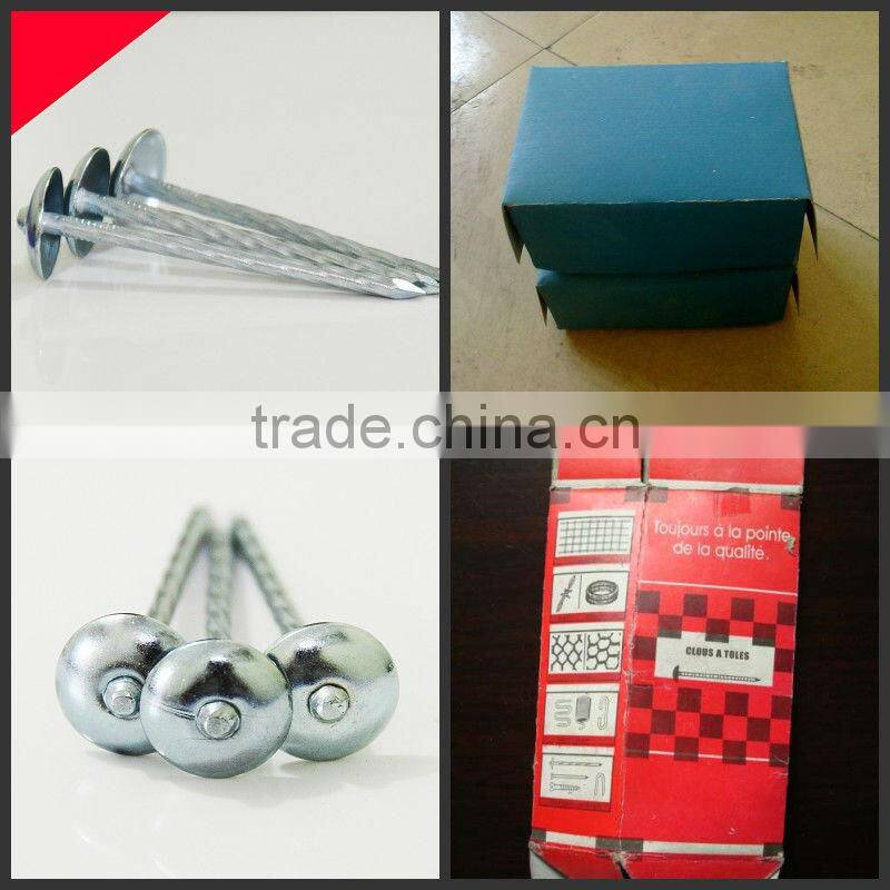 china roofing nails/roofing nails umbrella head/roofing nails cheap price