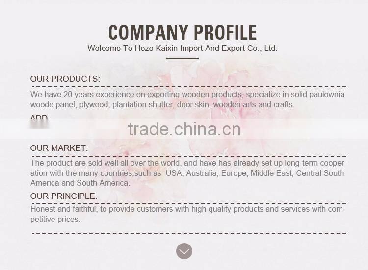 New Products On China Market grain door skin