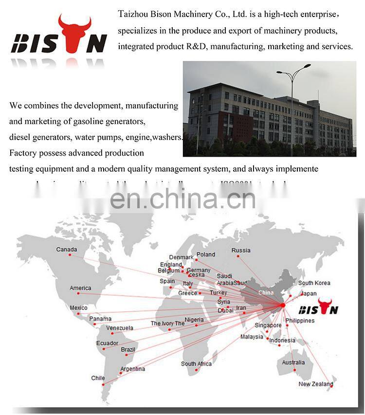 BISON China Find Champion Hot Sale Portable 5KW Generator from China