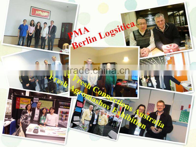 China Manufacturer Plastic Vacuum Forming Fresh Meat Fruit Disposable Plastic Food Container