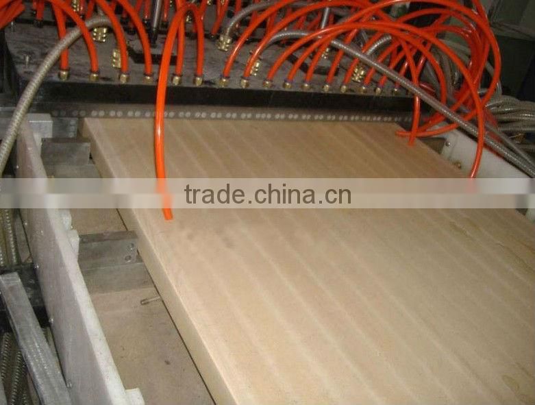 PVC WPC large door pannel mould pvc extrusion mould