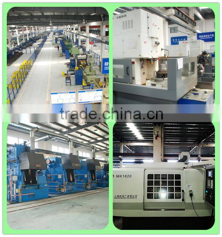 China Precised OEM gear/worm gear/worm gear and worm