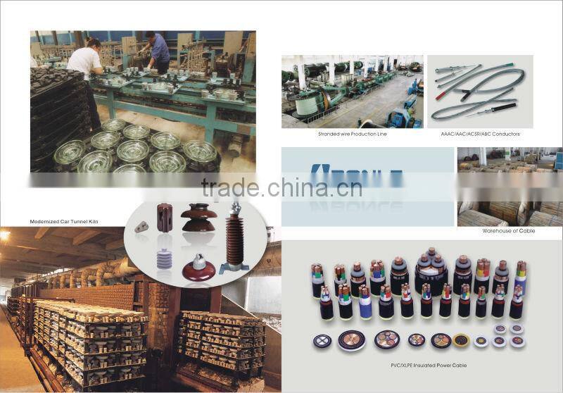 ACSR steel reinforced aluminium conductor