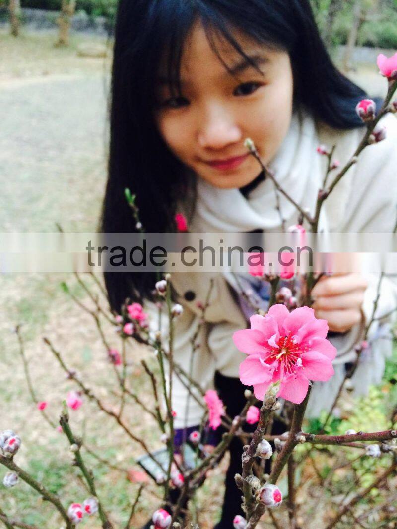 Factory magnetic alkaline water ionizer