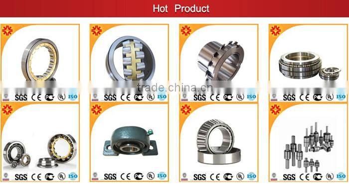 YNR Eccentric Bearing 250752908K 38X113X62