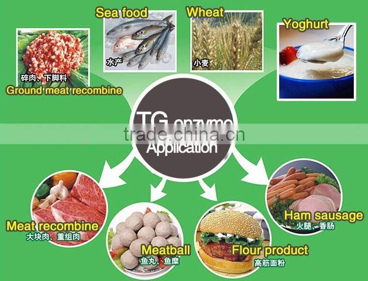 Food additive transglutaminase meat binder