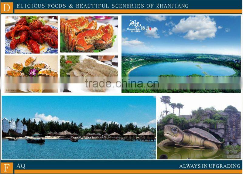 Good price automatic Rubber Sheeting Cutter vertical hydraulic rubber bale cutter