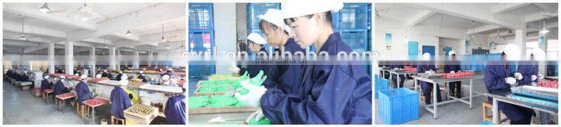 EN71 TUV ASTM F963 past New Lovely Pet Dog Puppy Cat Chews Toy Squeaker Squeaky Sound Colorful Bone Toy