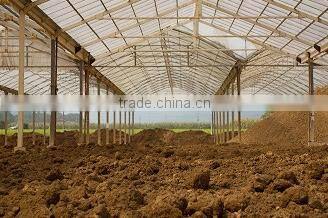 Award-winning and Natural Succulent Akadama Soil with multiple functions made in Japan