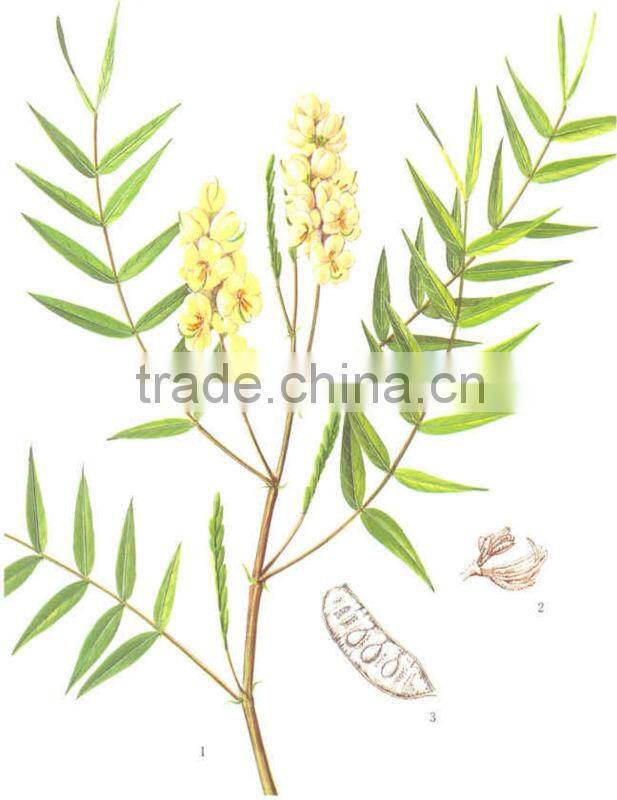 senna leaf p.e, Cassia angustifolia, Cassia senna, Sennosides 3% 4% 6% 8% 12% by HPLC