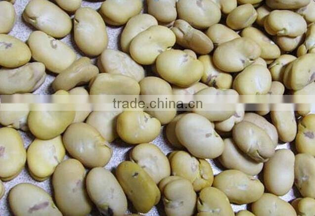 good quality peanut peeling machine/peanut processing machine