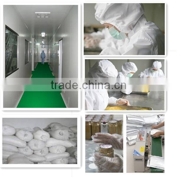 High protein many kinds of flower bee pollen for bee feeding