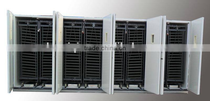 50000 eggs large size incubator