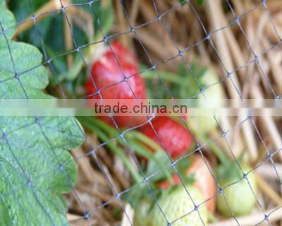 Vegetable Support and Trellis Netting